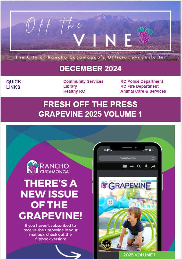 Off the Vine December 2024