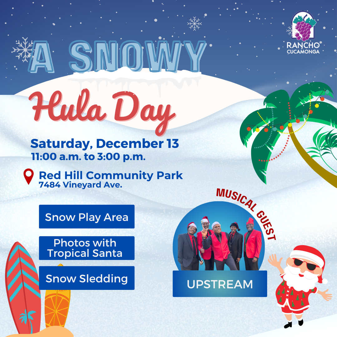 A Snowy Hula Day