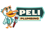 Logo featuring a cartoon pelican standing upright, wearing sunglasses and a patterned shirt, holding a red pipe wrench and giving a thumbs‑up. To the right is a stylized sign reading 'PELI' in large letters above a smaller box labeled 'PLUMBING'.