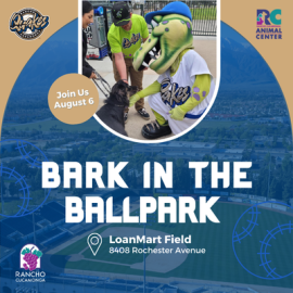 Bark in the Ballpark graphic with photos of adoptable pets and Quakes Stadium