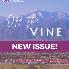 view of mountains off the vine new issue