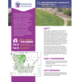 LMD 1 FY 25-26 annual report