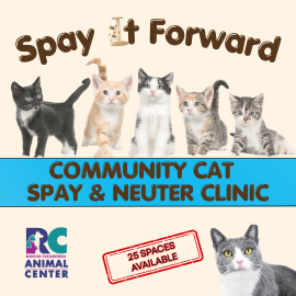 Spay It Forward community cat event graphic with multiple cats with different coloring and a 25 spaces available stamp