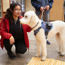 Picture of woman and a dog