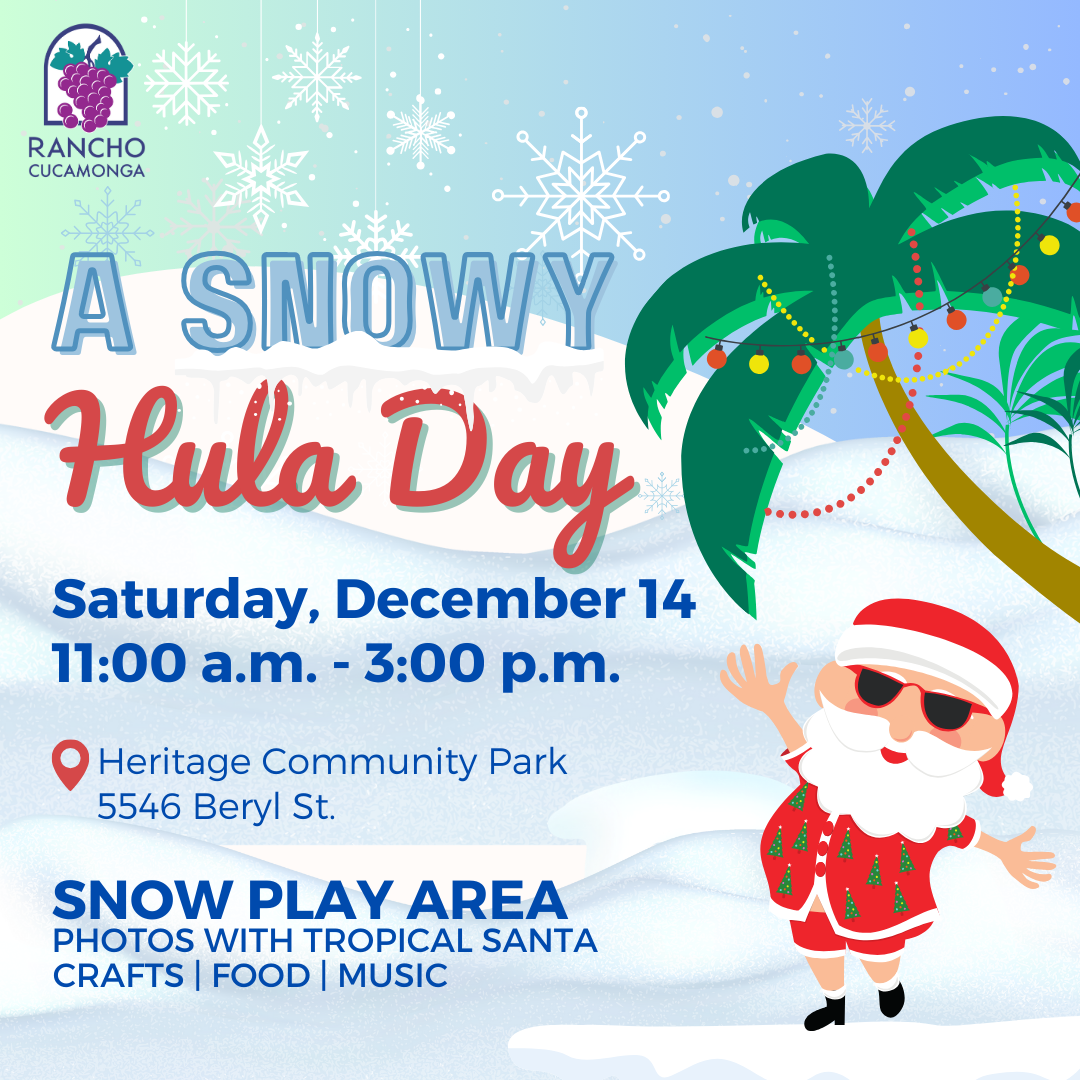 A Snowy Hula Day