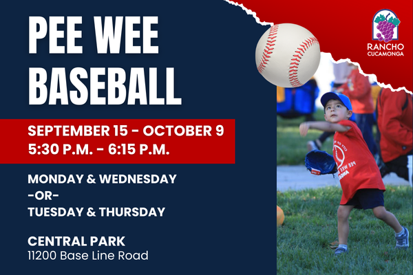 Red And Blue Graphic of fall Pee Wee Baseball