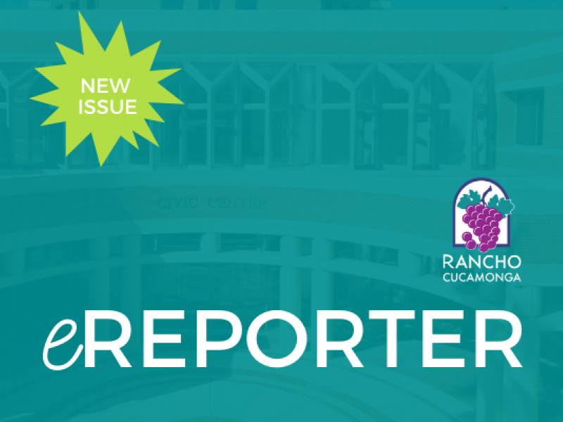 July Part II eReporter banner