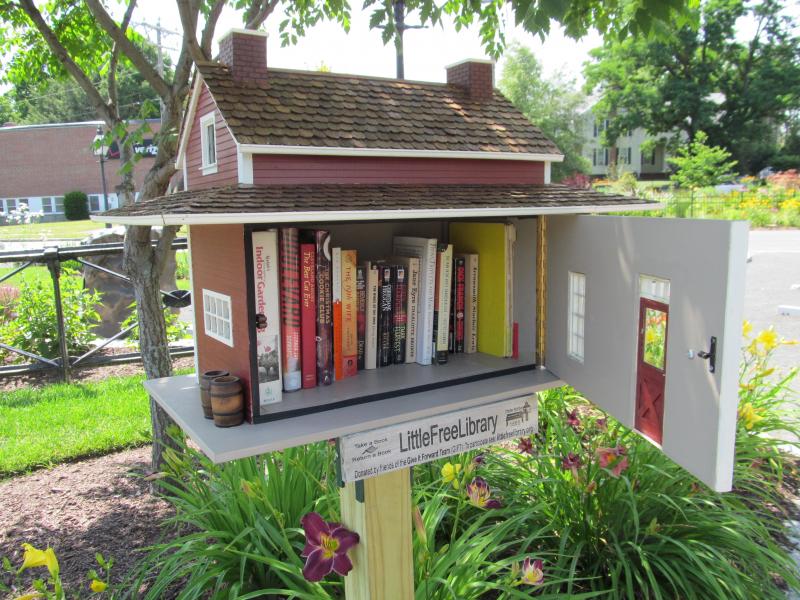 little free library