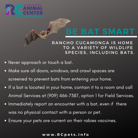 Bat Smart Tips