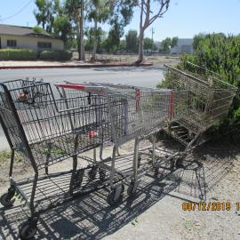 Abandoned shopping carts