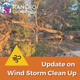 Wind Clean Up Update