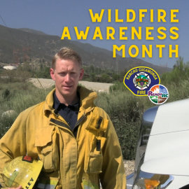 Wildland PSA 2021