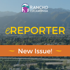 November eReporter