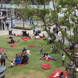 People on the grass in a park