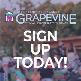 Grapevine