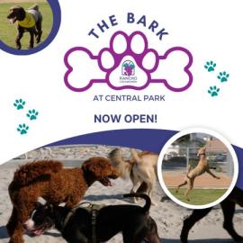 The Bark at Central Park Grand Opening