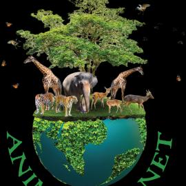 Valverde School of Performing Arts presents 'Animal Planet'