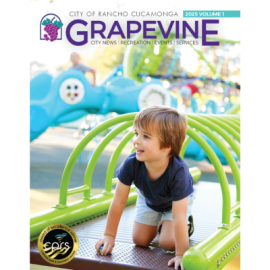 Grapevine 2025 Volume 1 cover