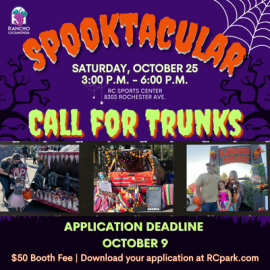 Spooktacular Call For Trunks. Spooky background with spider webs and dark odd shape trees.