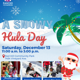 A Snowy Hula Day